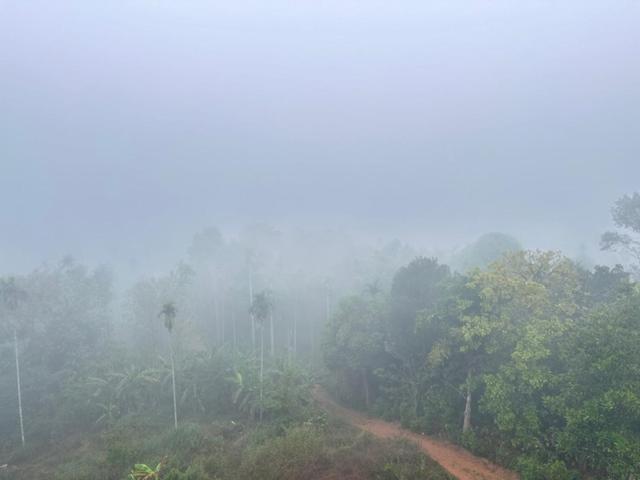 Wayanad Vista Service Apartment Exteriér fotografie