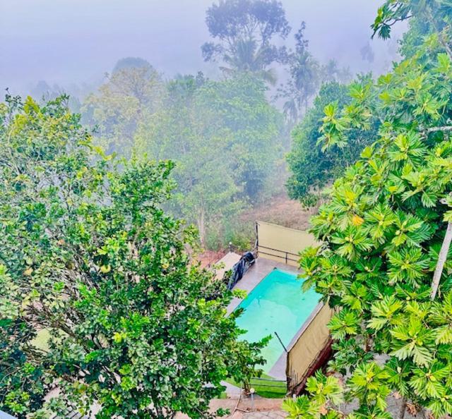Wayanad Vista Service Apartment Exteriér fotografie
